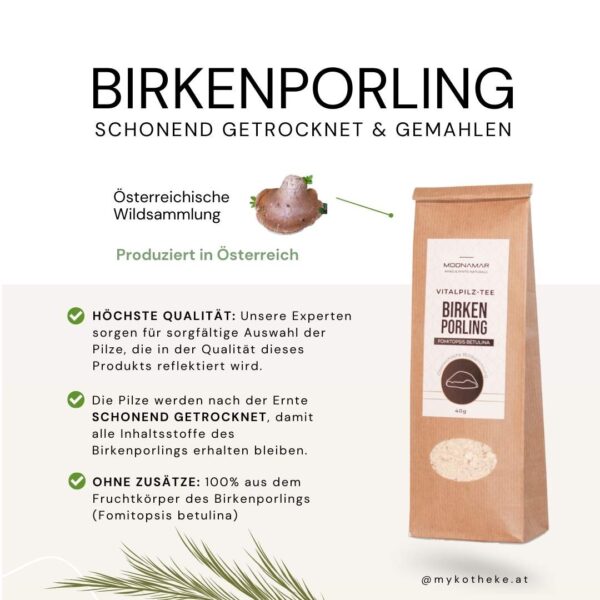 Birkenporling (Fomitopsis betulina) 40g / österreichische Wildsammlung / MOONAMAR – Bild 2