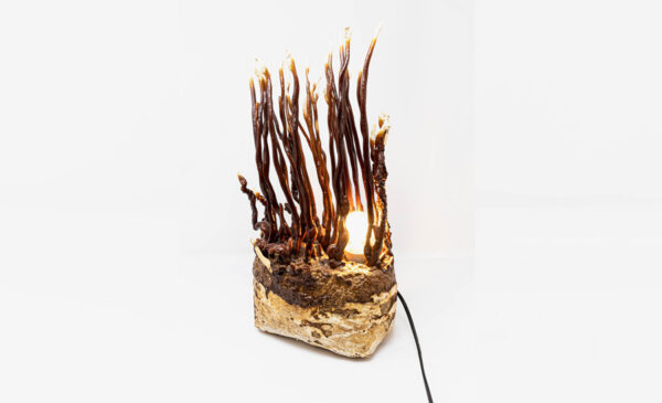 Deko-Reishi-Lampe