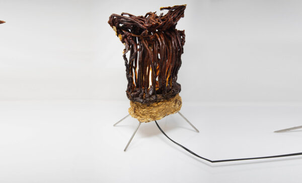 Reishi-Pilz-Lampe