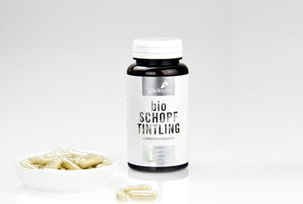 Schopftintling (Coprinus comatus) BIO-VITALPILZ in Kapseln / TYROLER GLÜCKSPILZE