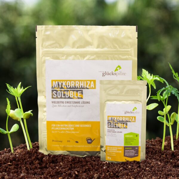 Mykorrhiza DÜNGERERSATZ Soluble 30g